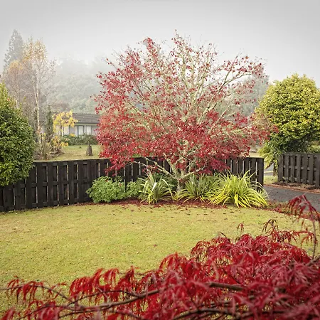 B&B@The Redwoods