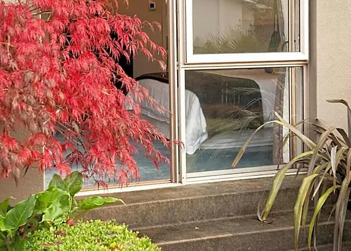 B&b@the Redwoods 로토루아